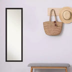 Miroir de porte pleine longueur en polystyrène 126,7 cm H x 40,3 cm L