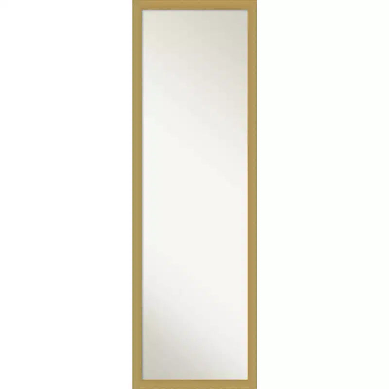 Miroir de porte pleine longueur en polystyrène 126,7 cm H x 40,3 cm L