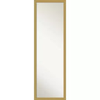 Miroir de porte pleine longueur en polystyrène 126,7 cm H x 40,3 cm L